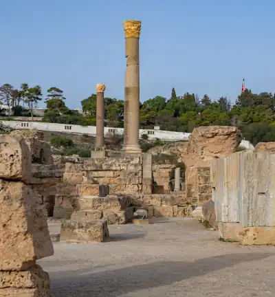 Transfer to Archaeological Site of Carthage